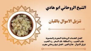 تنزيل الاموال باللبان
