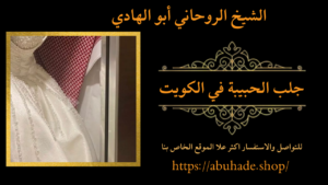 جلب الحبيبة في الكويت